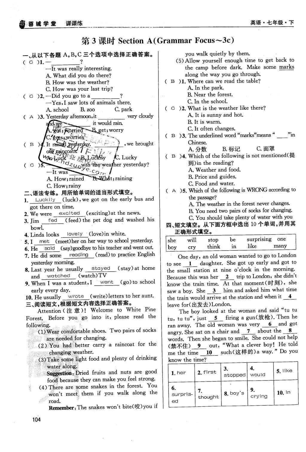 2016年蓉城学堂课课练七年级英语下册人教版成都 Unit 7~Unit 12第104页