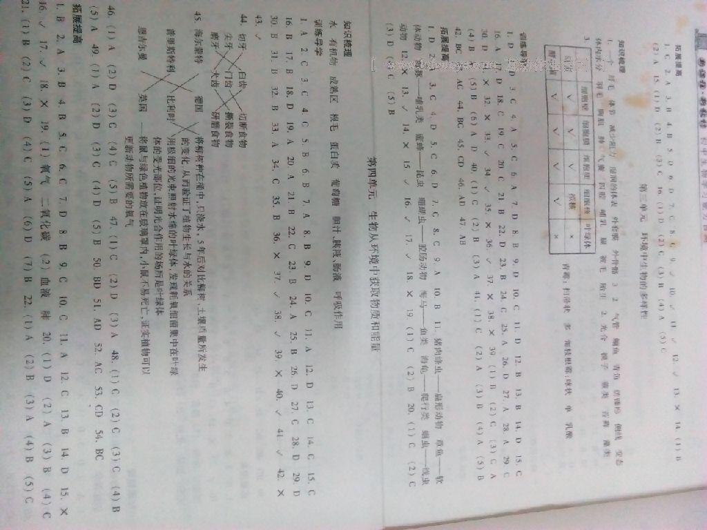 新课程新教材初中生物学习能力自测 第6页