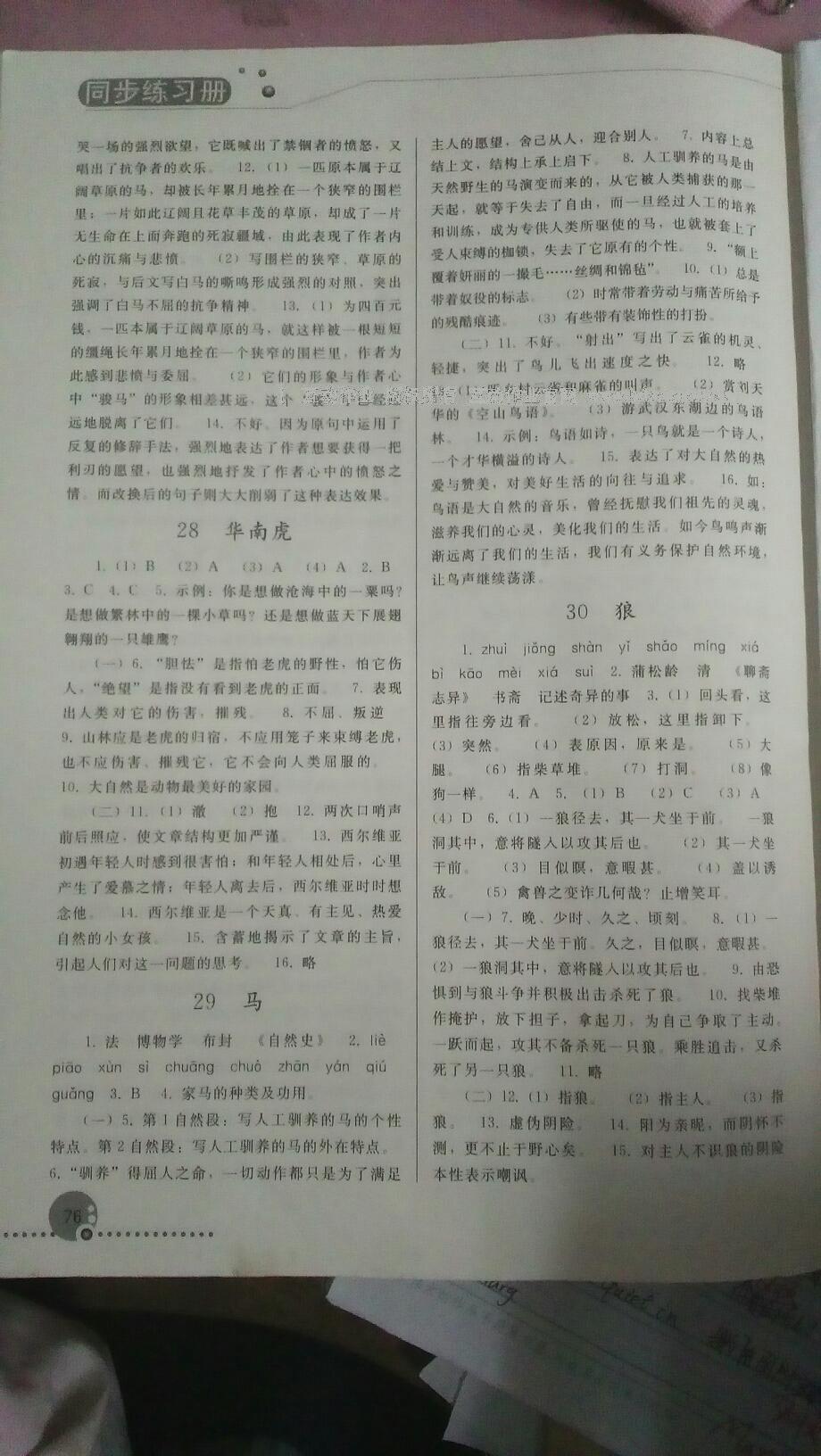 2016年同步练习册人民教育出版社七年级语文下册人教版 第91页