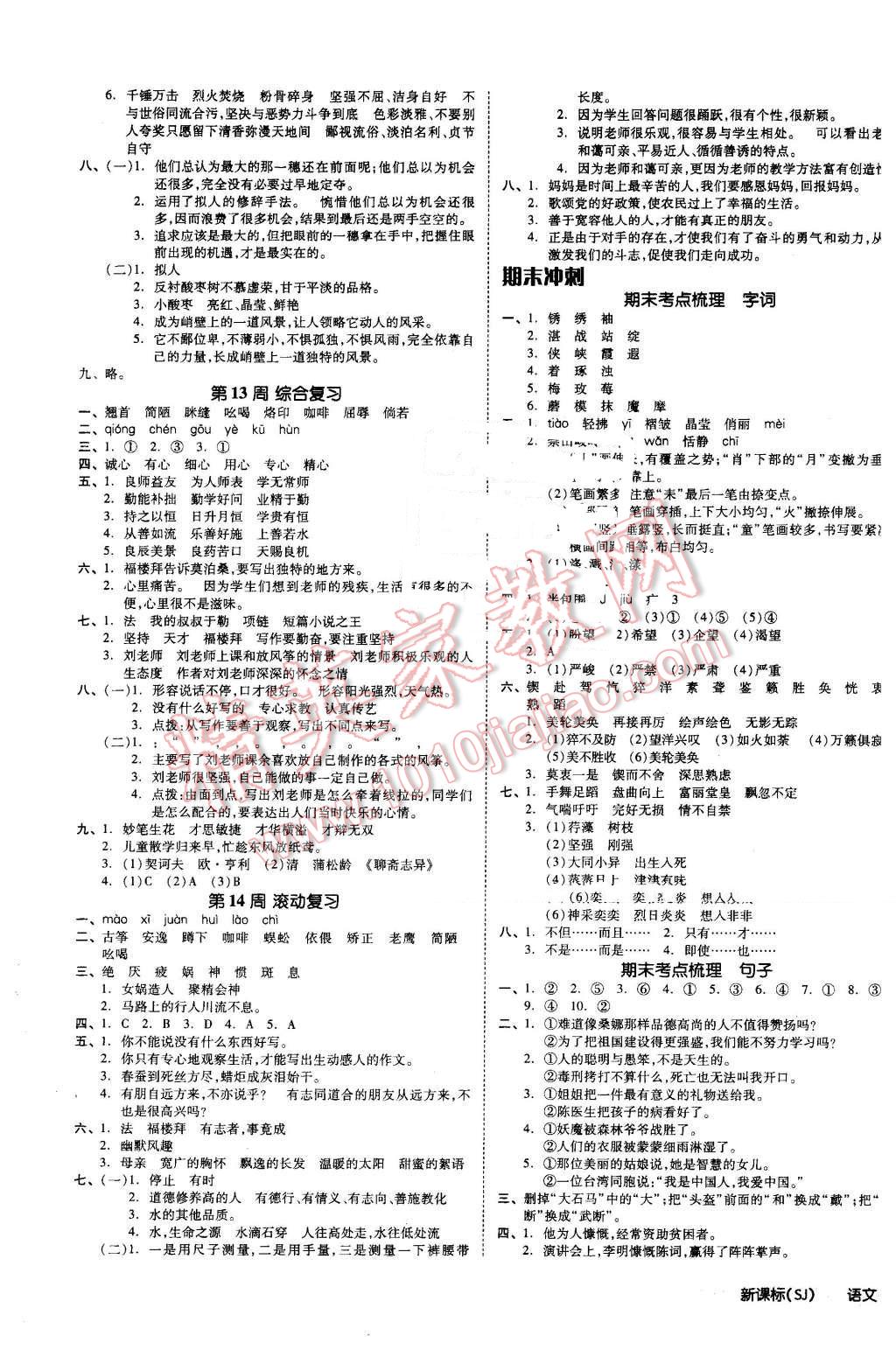 2016年全品小复习六年级语文下册苏教版 第5页