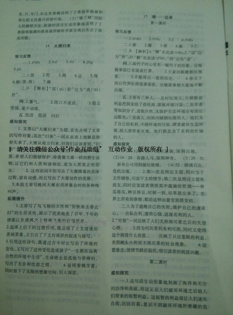 2014年基礎(chǔ)訓(xùn)練八年級(jí)語文下冊(cè)人教版 第203頁