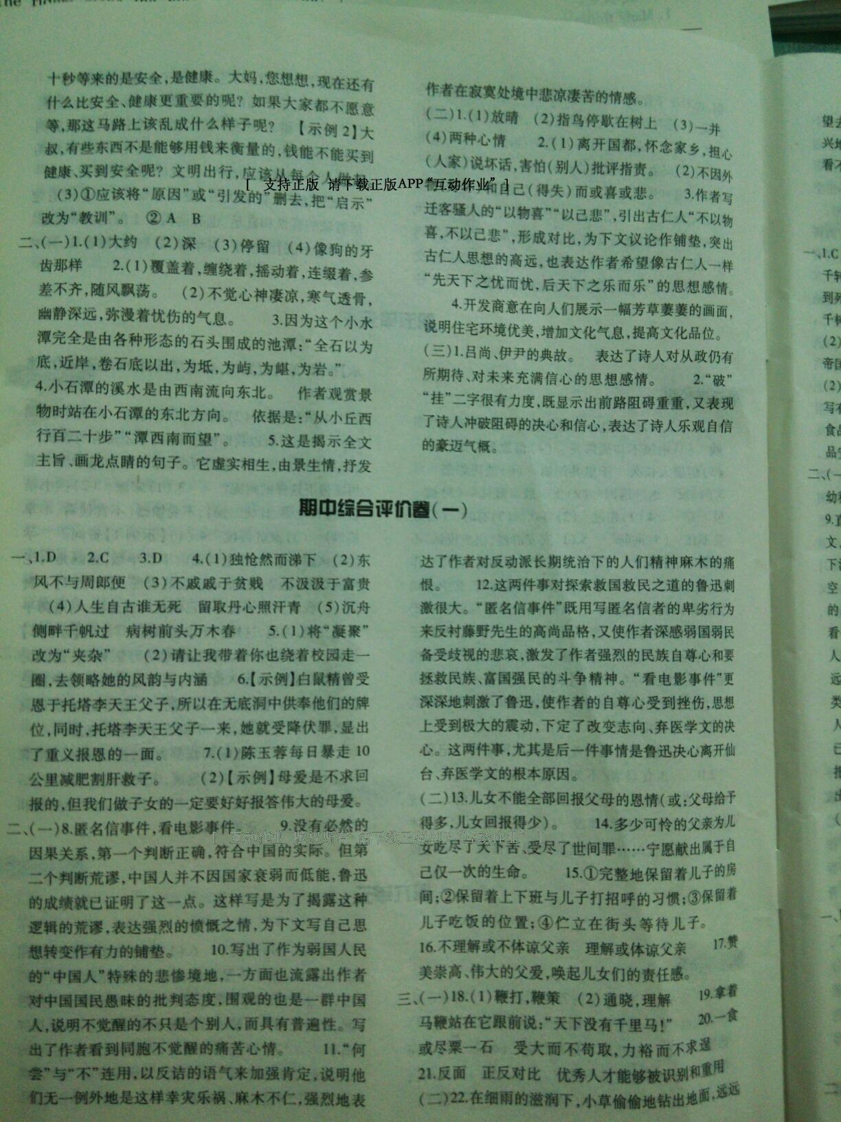 2014年基礎(chǔ)訓(xùn)練八年級(jí)語文下冊(cè)人教版 第220頁