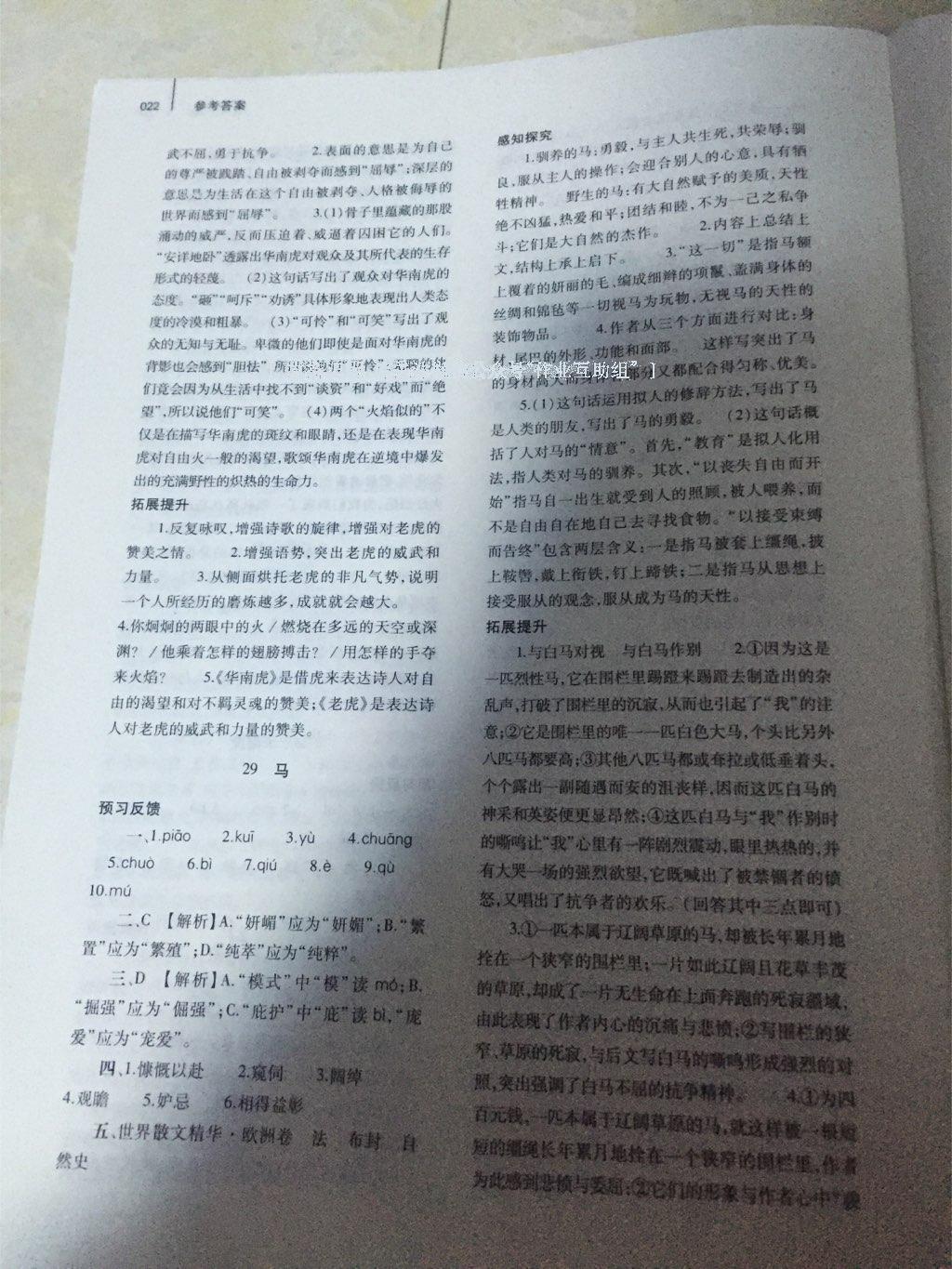 2015年基礎(chǔ)訓(xùn)練七年級語文下冊人教版僅限河南省使用大象出版社 第140頁