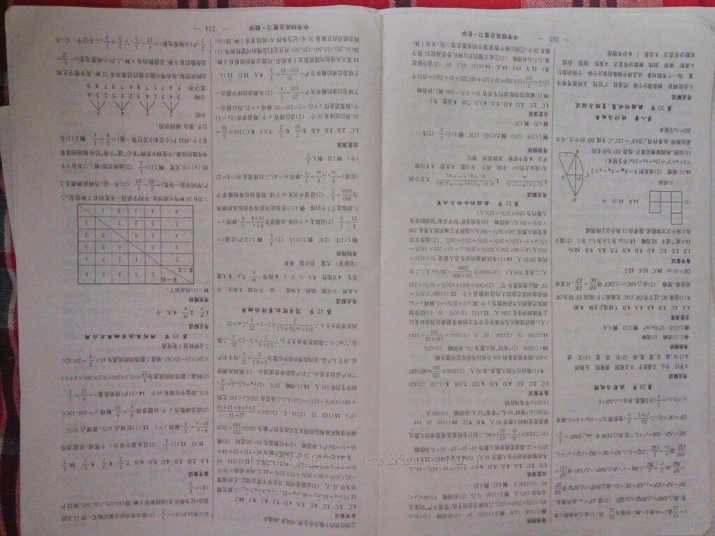 黃岡金牌之路中考精英總復(fù)習(xí)數(shù)學(xué) 第43頁