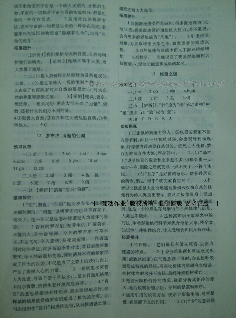 2014年基礎(chǔ)訓(xùn)練八年級(jí)語(yǔ)文下冊(cè)人教版 第202頁(yè)