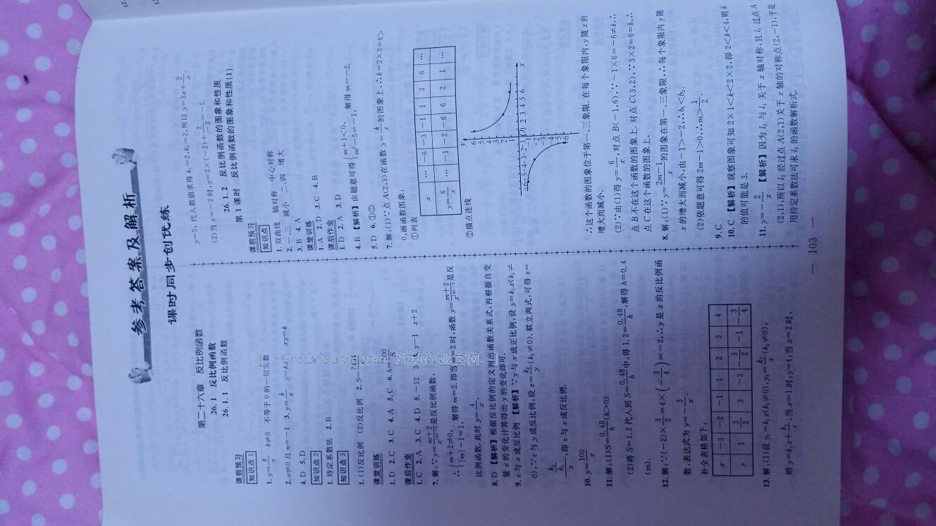 2015年黄冈创优作业导学练九年级数学下册人教版 第29页