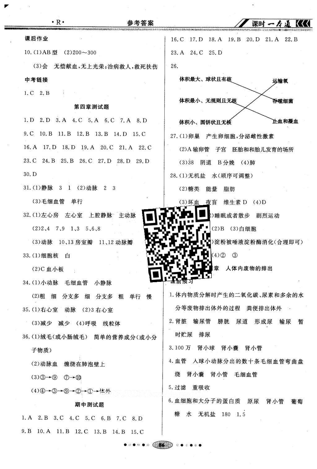 2016年成龙计划课时一本通七年级生物下册人教版 参考答案第10页