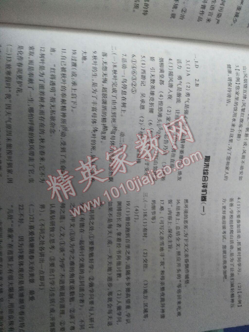 2016年基礎(chǔ)訓(xùn)練七年級(jí)語(yǔ)文下冊(cè)北師大版大象出版社 第15頁(yè)