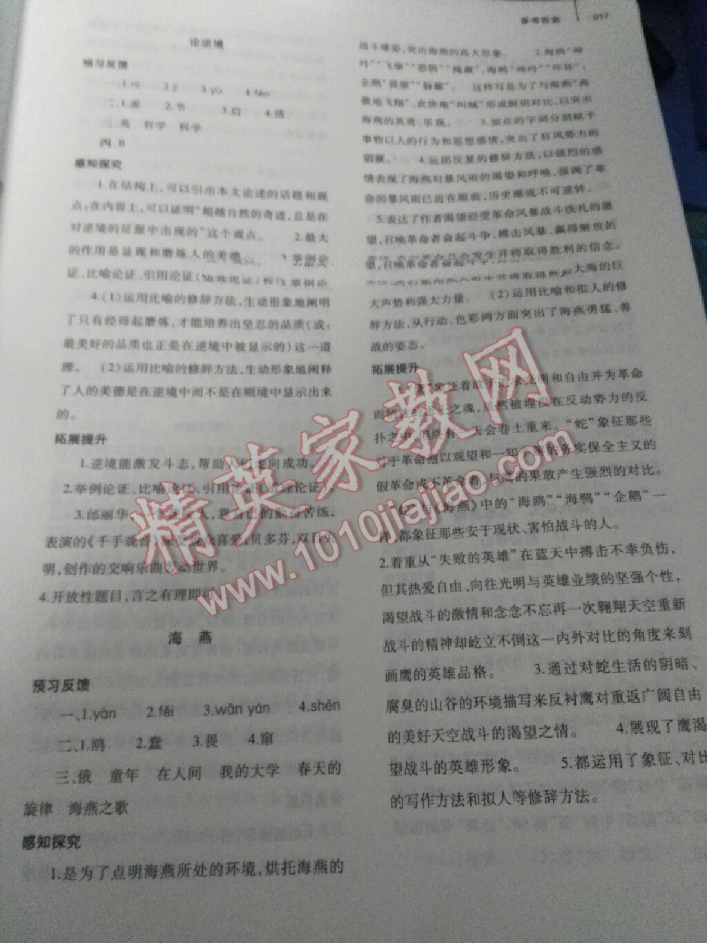 2016年基礎(chǔ)訓(xùn)練七年級語文下冊北師大版大象出版社 第37頁