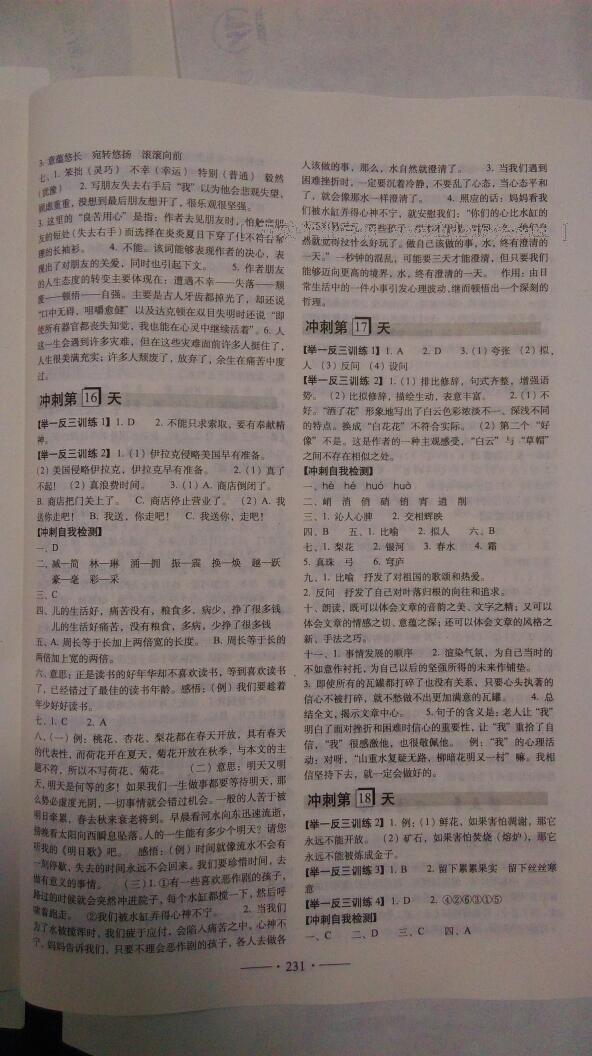 小考必備考前沖刺46天語文 第26頁