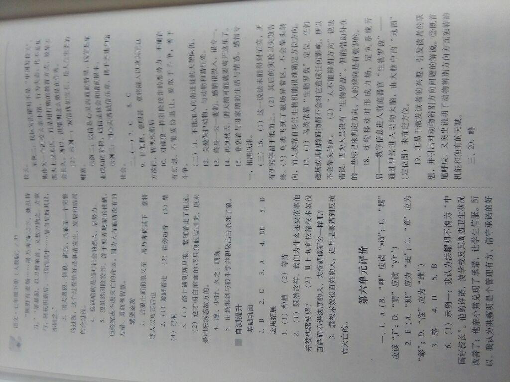 2016年新課程問題解決導(dǎo)學(xué)方案七年級(jí)語文下冊人教版 第123頁