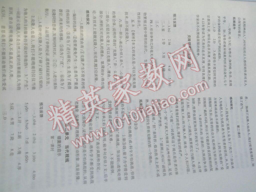 2016年基础训练八年级语文下册北师大版河南省内使用 第3页