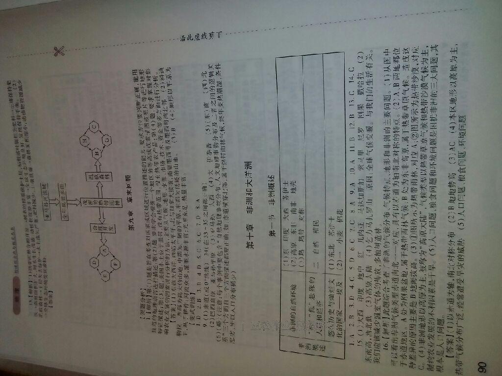 2015年新课程实践与探究丛书七年级地理下册粤教版 第45页