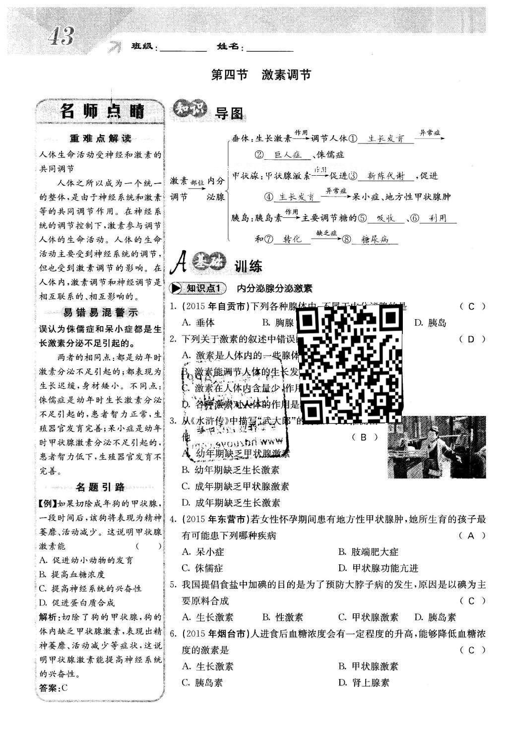 2016年课堂点睛七年级生物下册人教版 第六章 人体生命活动的调节第43页