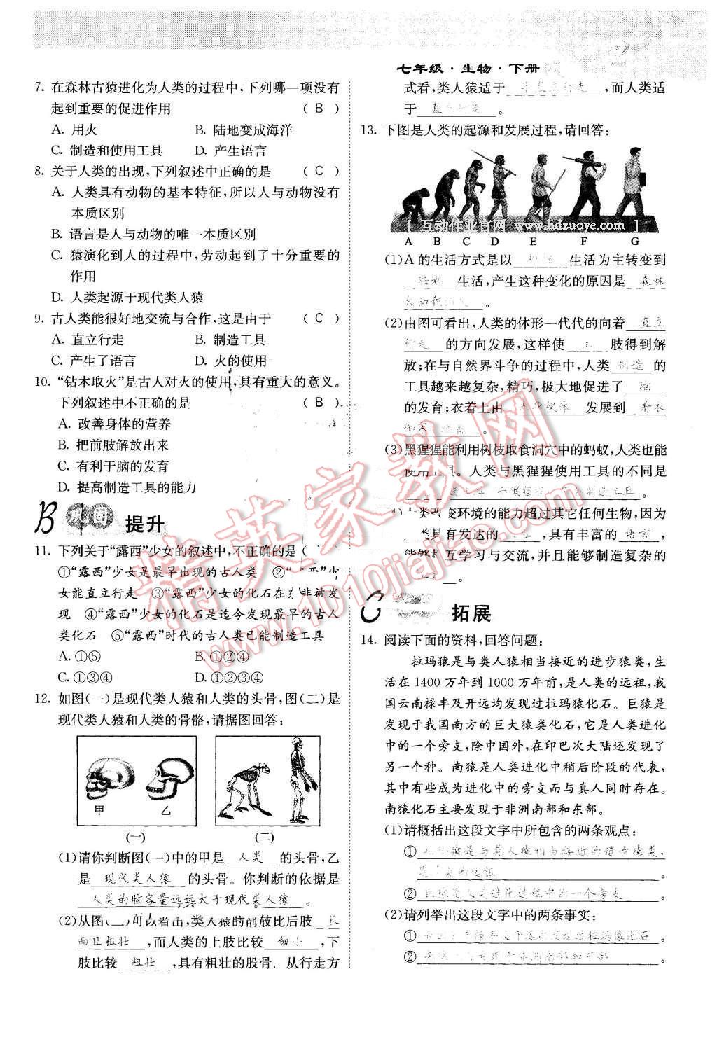 2016年課堂點(diǎn)睛七年級生物下冊人教版 第2頁