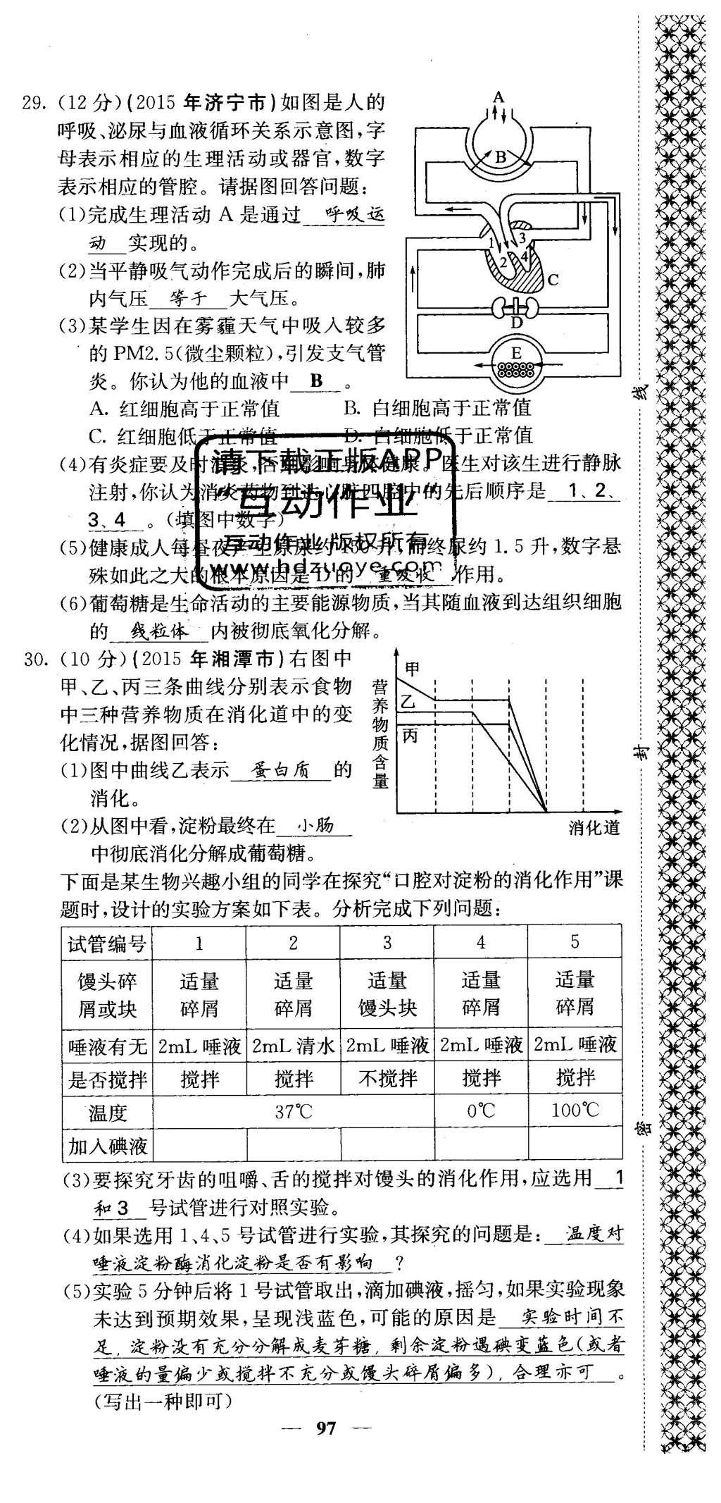 2016年课堂点睛七年级生物下册人教版 综合测试卷第91页