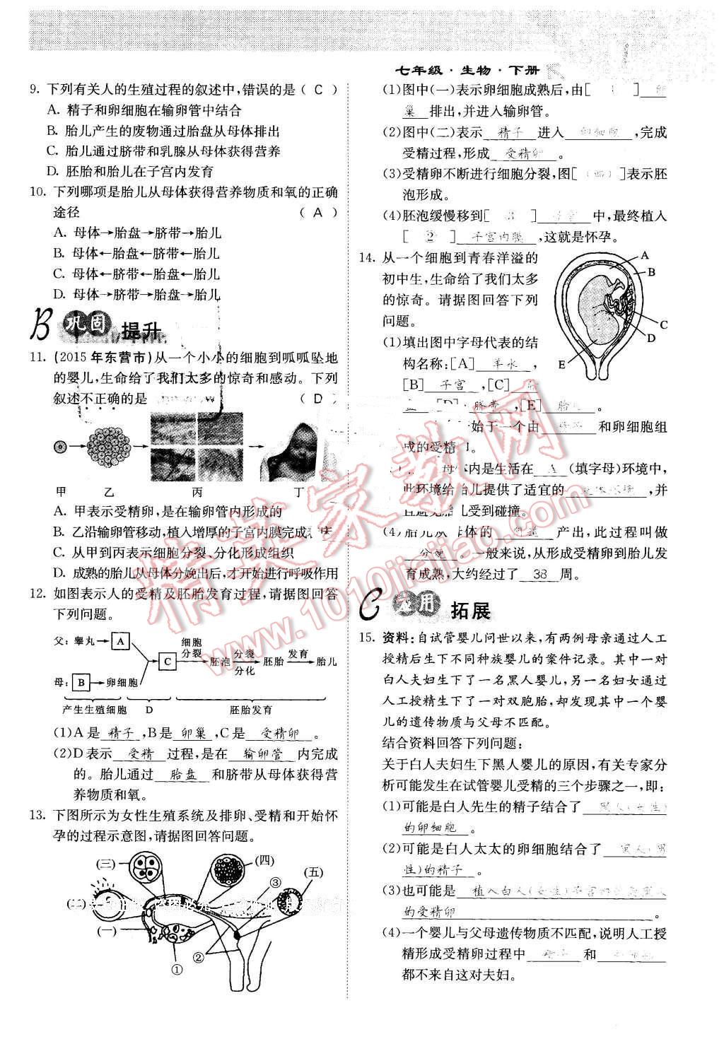 2016年課堂點睛七年級生物下冊人教版 第4頁