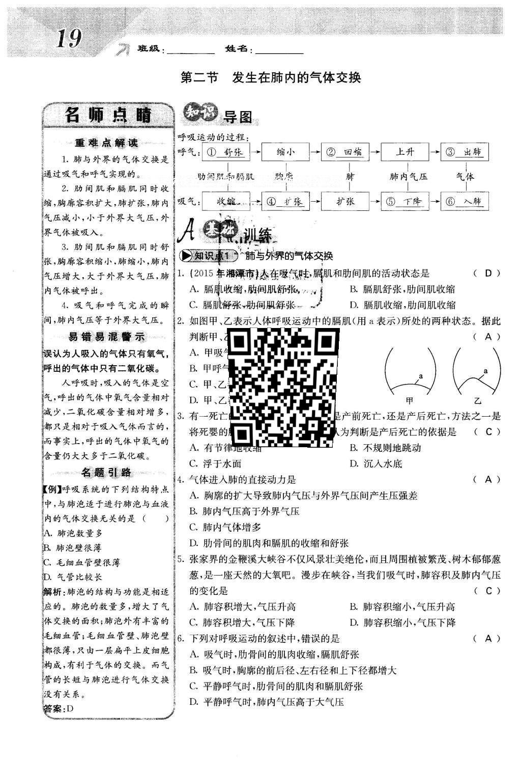 2016年課堂點睛七年級生物下冊人教版 第三章 人體的呼吸第19頁