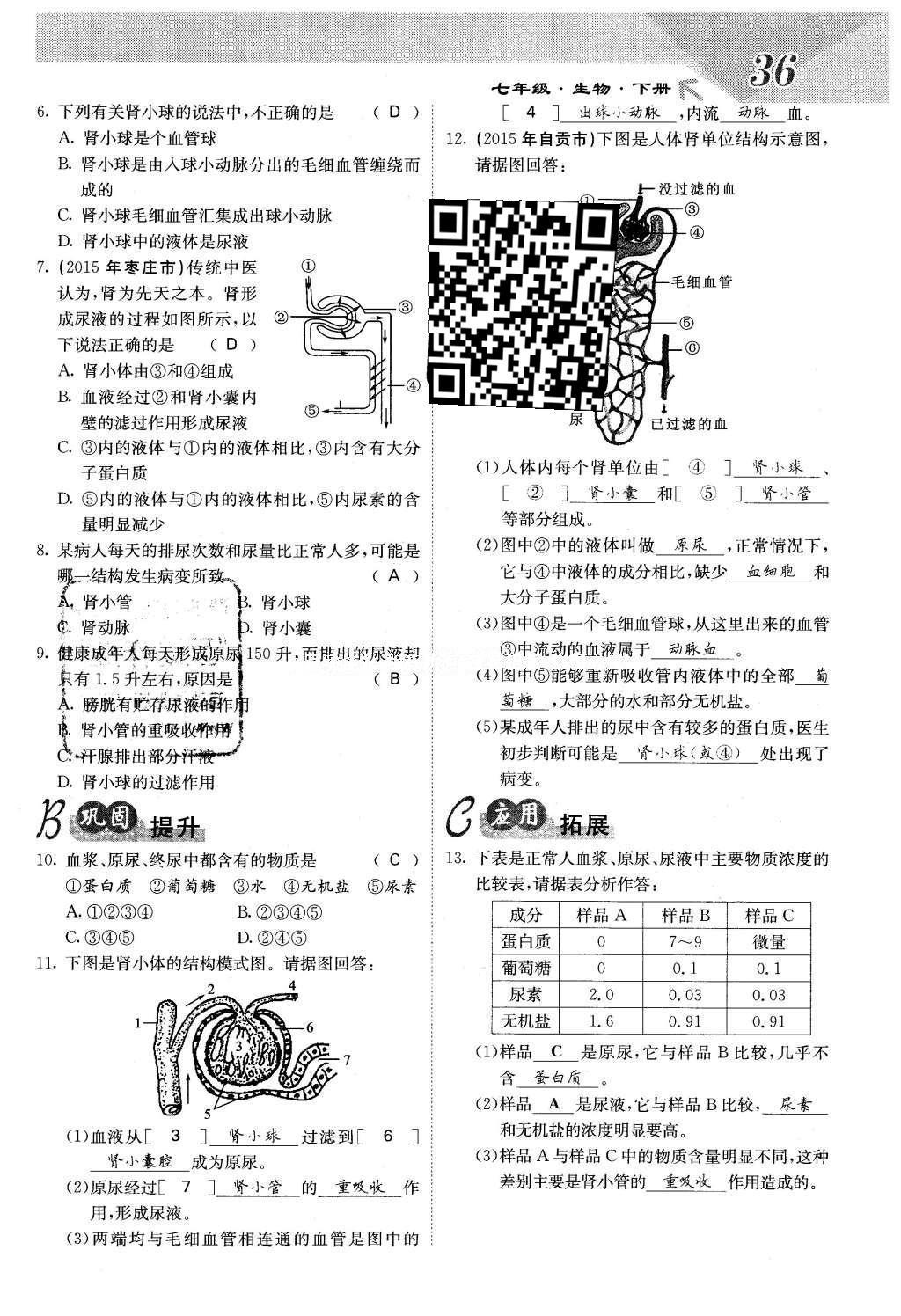 2016年課堂點睛七年級生物下冊人教版 第五章 人體內廢物的排出第36頁