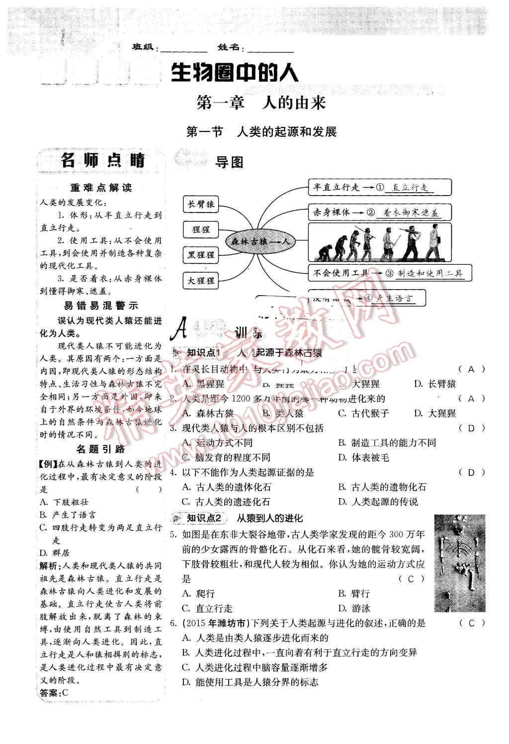 2016年課堂點(diǎn)睛七年級(jí)生物下冊(cè)人教版 第1頁(yè)