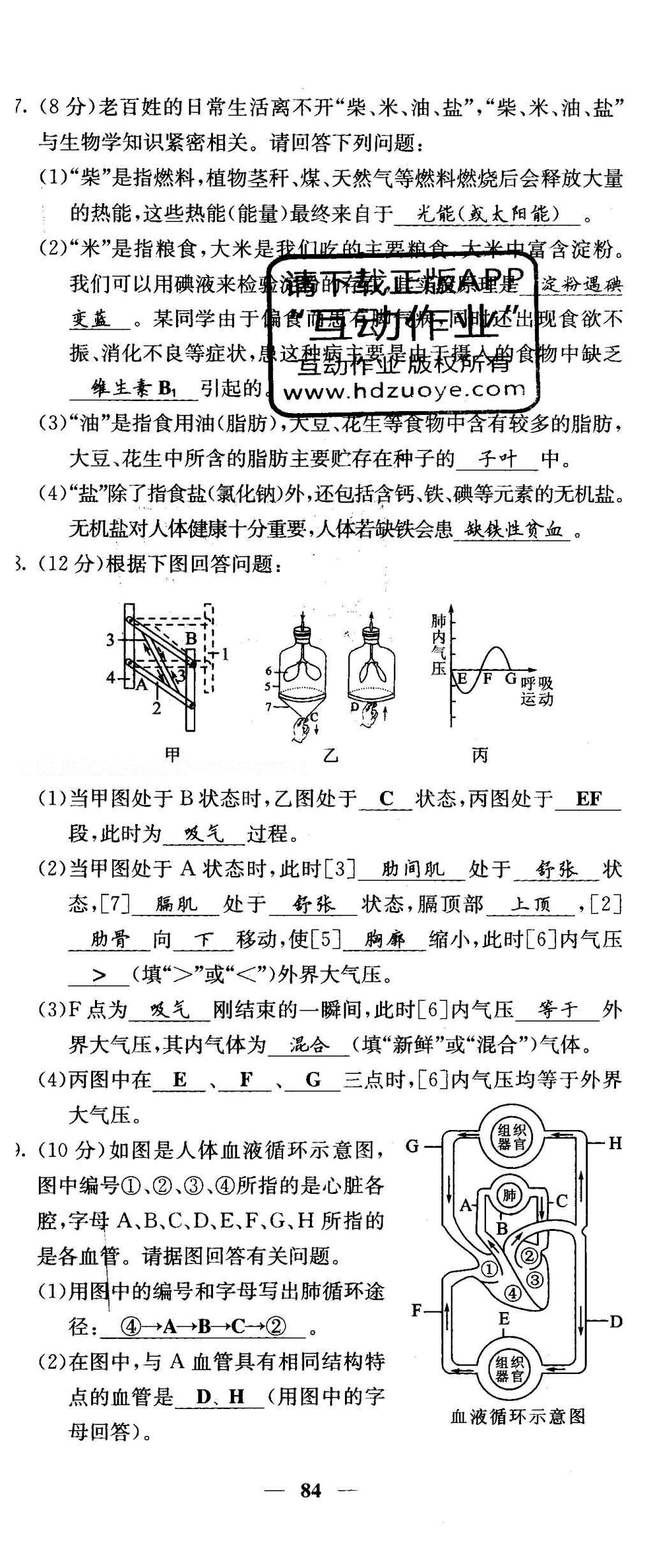 2016年课堂点睛七年级生物下册人教版 综合测试卷第78页