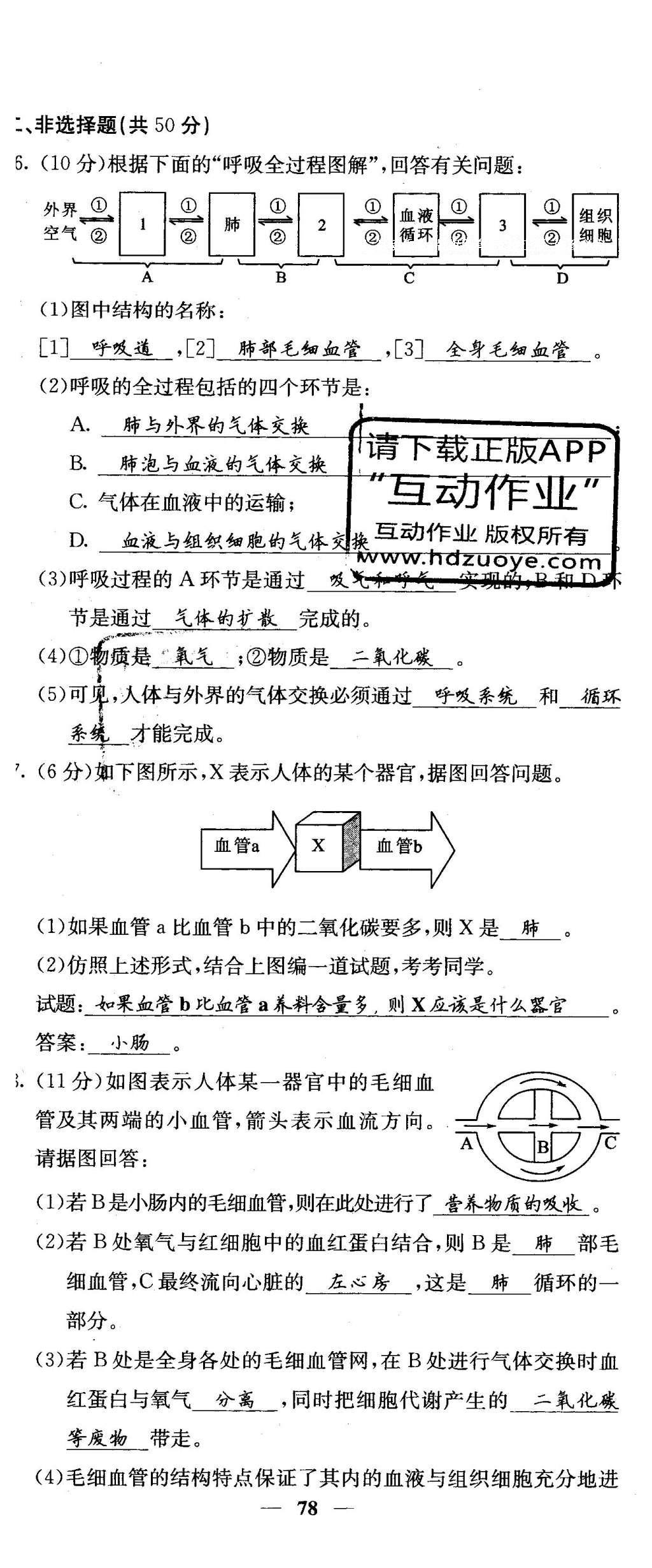 2016年課堂點睛七年級生物下冊人教版 綜合測試卷第72頁