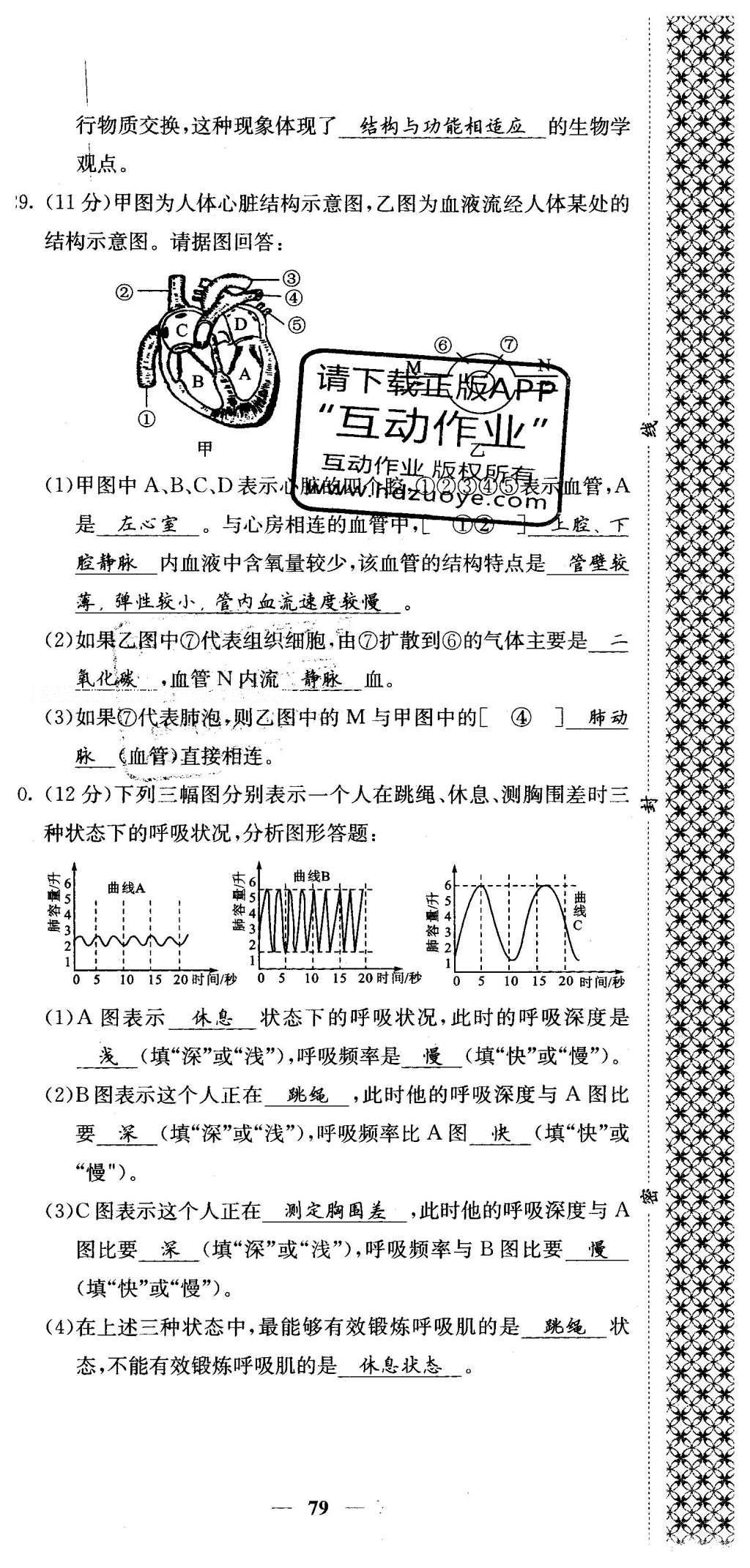 2016年課堂點睛七年級生物下冊人教版 綜合測試卷第73頁