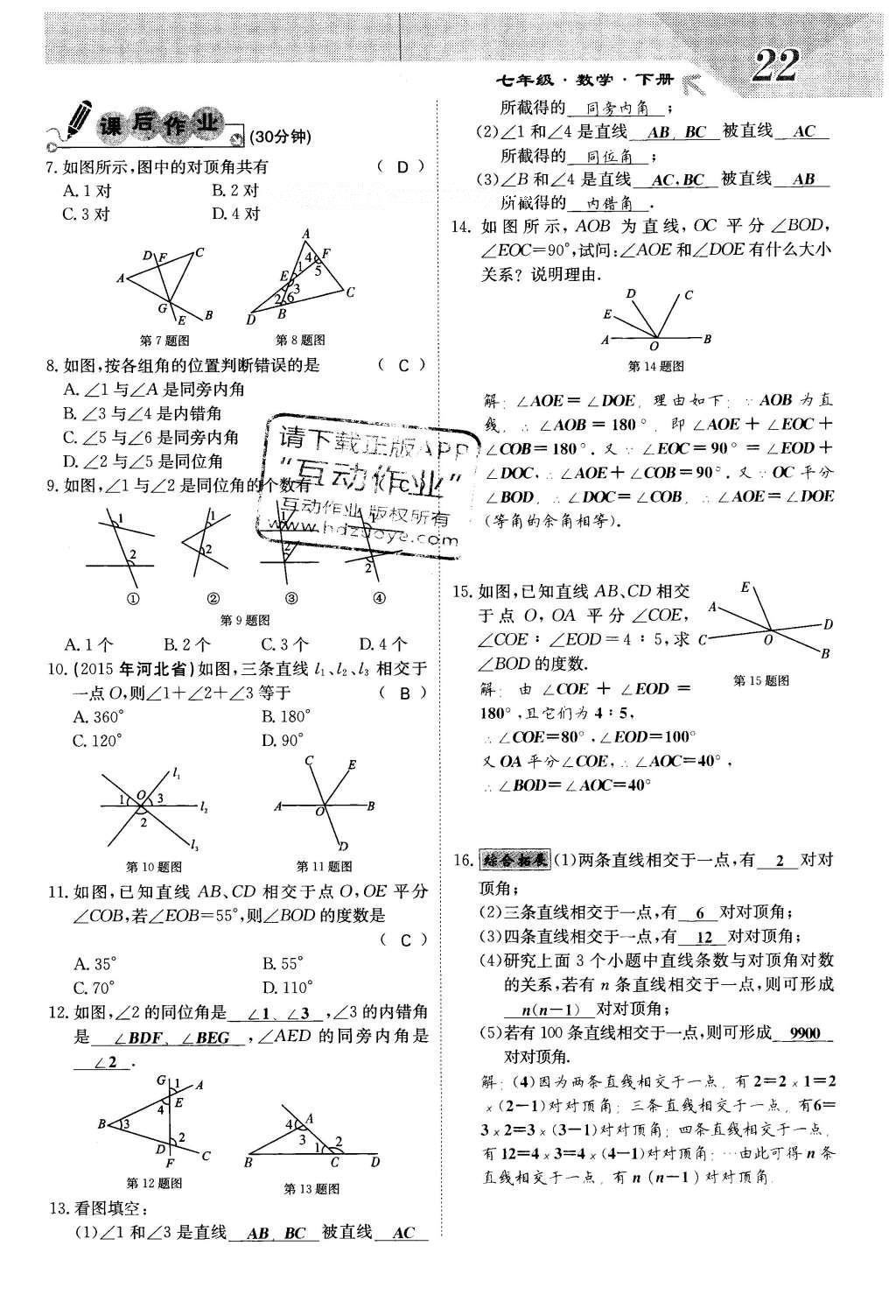 2016年課堂點(diǎn)睛七年級(jí)數(shù)學(xué)下冊冀教版 第七章 相交線與平行線第22頁