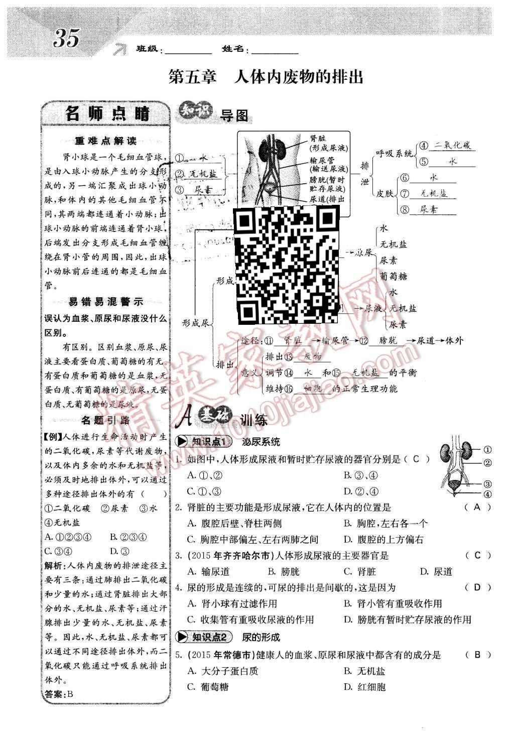 2016年课堂点睛七年级生物下册人教版 第五章 人体内废物的排出第35页