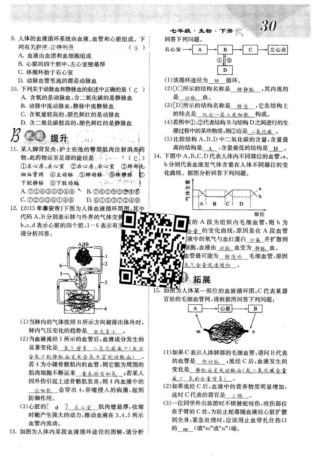 2016年课堂点睛七年级生物下册人教版 第四章 人体内物质的运输第30页