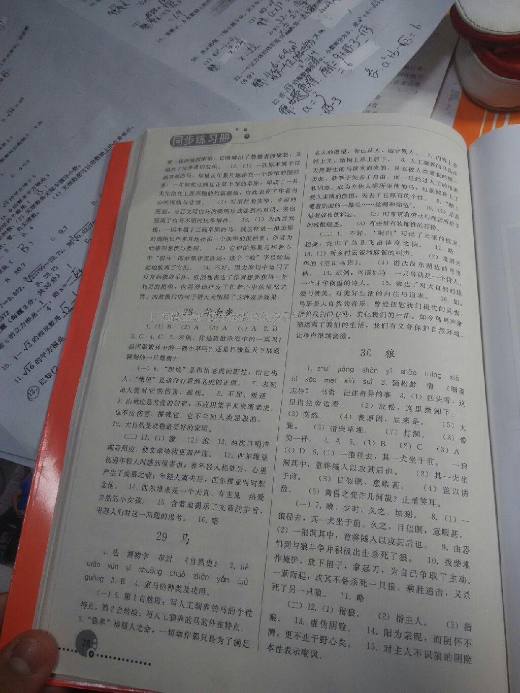 2016年同步练习册人民教育出版社七年级语文下册人教版 第97页