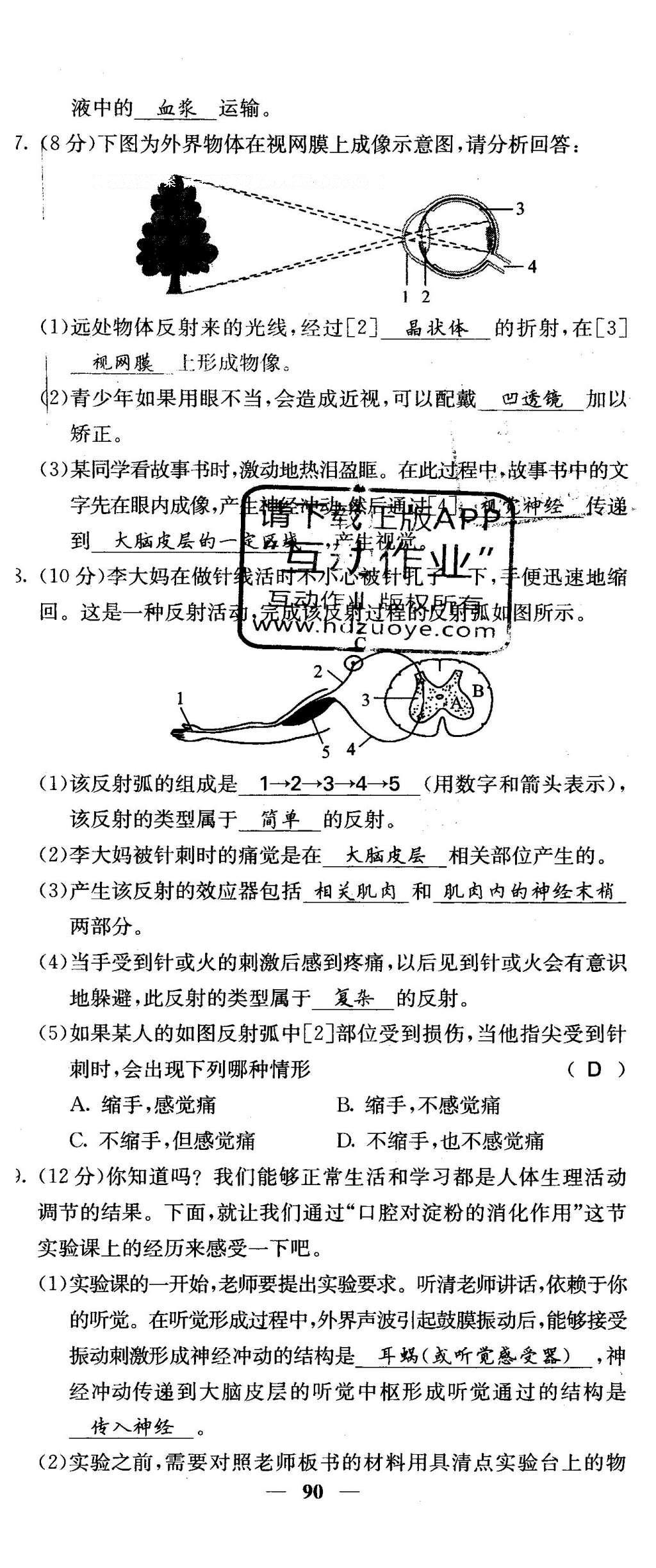 2016年課堂點睛七年級生物下冊人教版 綜合測試卷第84頁