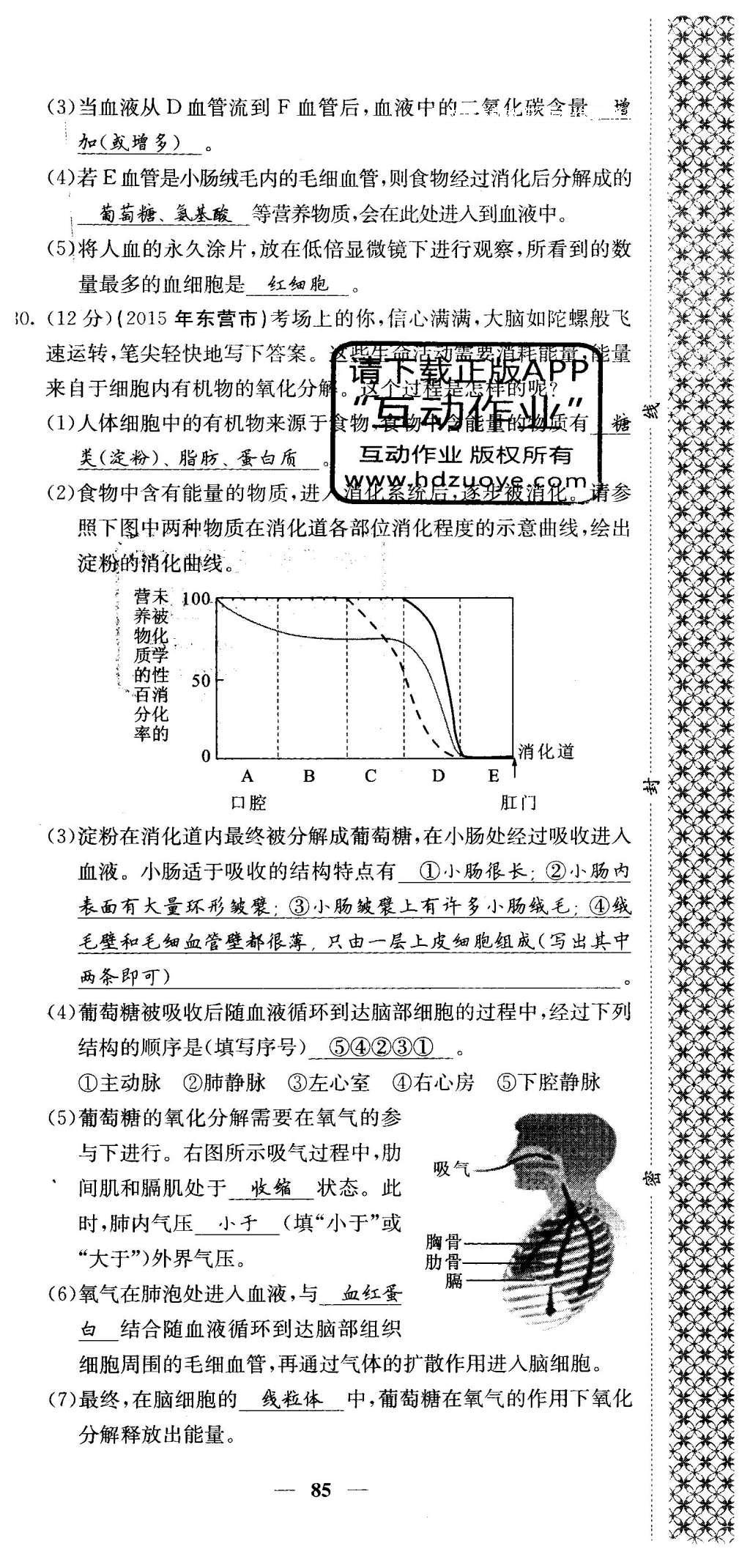 2016年課堂點睛七年級生物下冊人教版 綜合測試卷第79頁