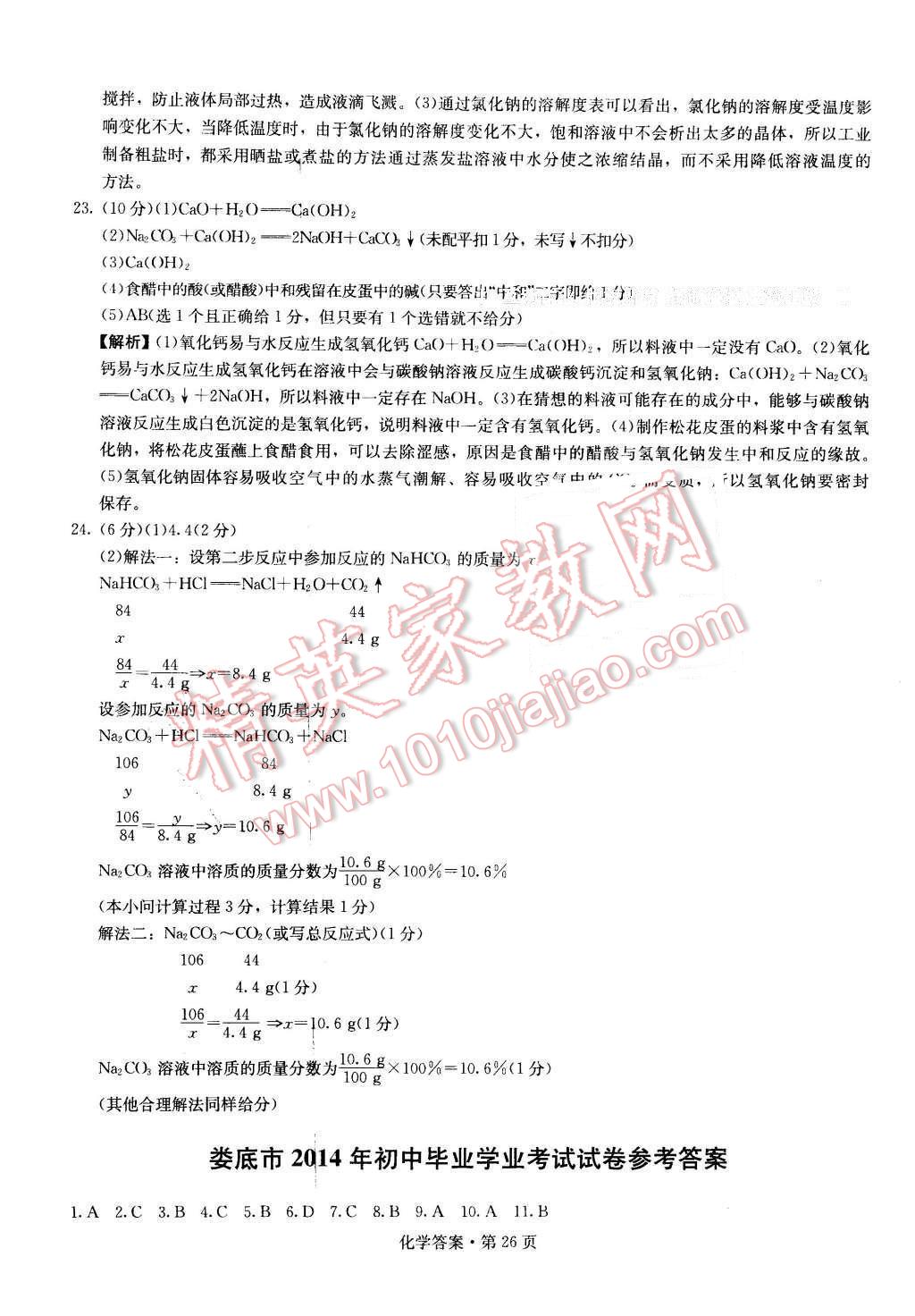 2016年湖南中考必备化学 第25页