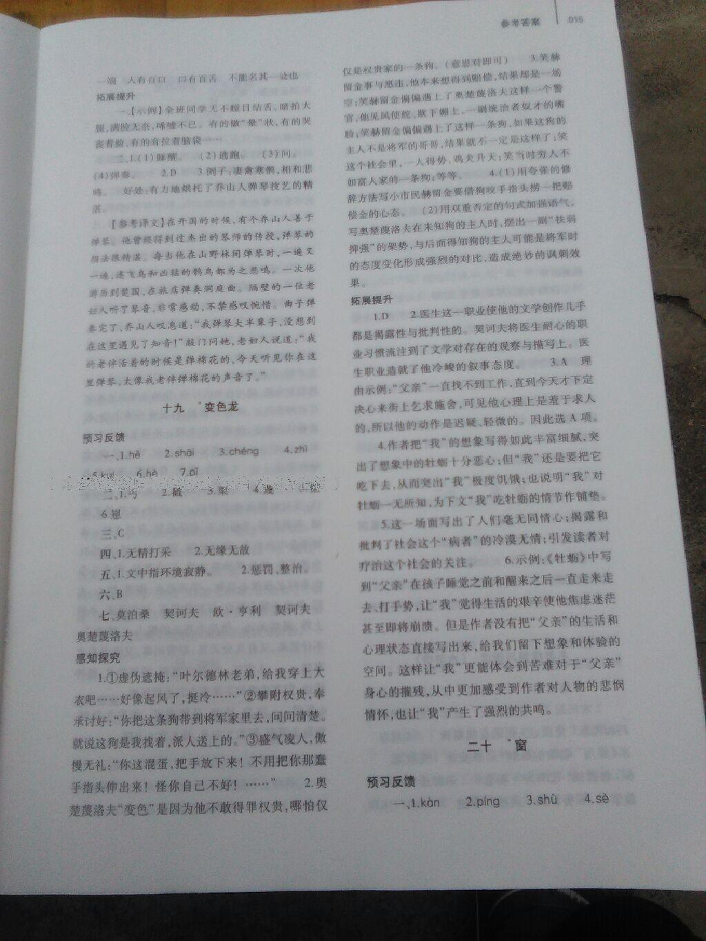 2016年基础训练八年级语文下册苏教版河南省内使用 第12页