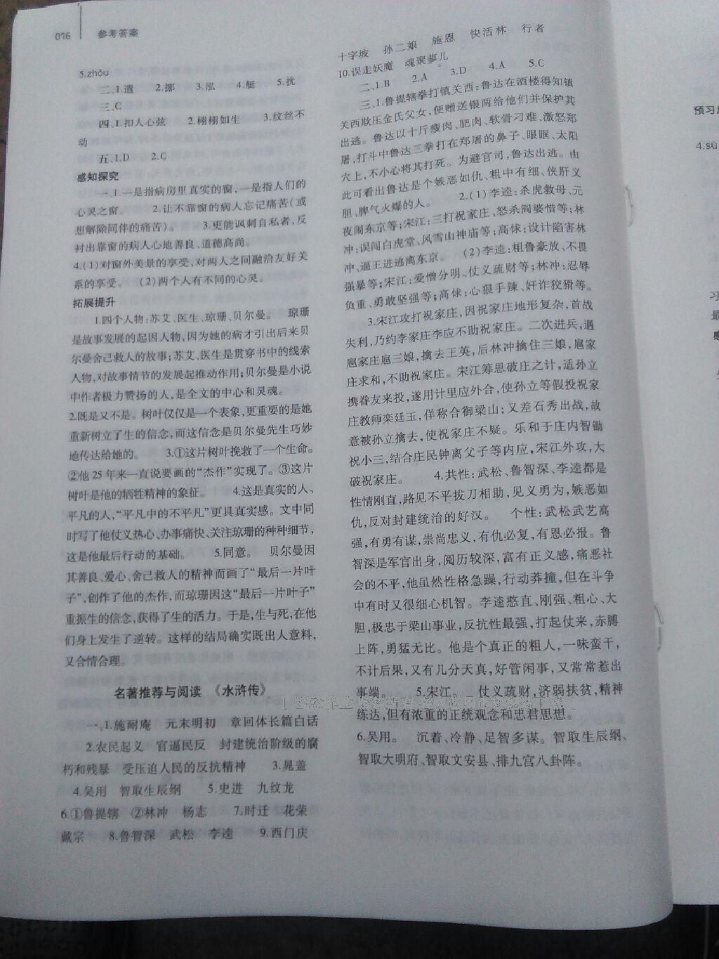 2016年基礎(chǔ)訓(xùn)練八年級(jí)語(yǔ)文下冊(cè)蘇教版河南省內(nèi)使用 第13頁(yè)