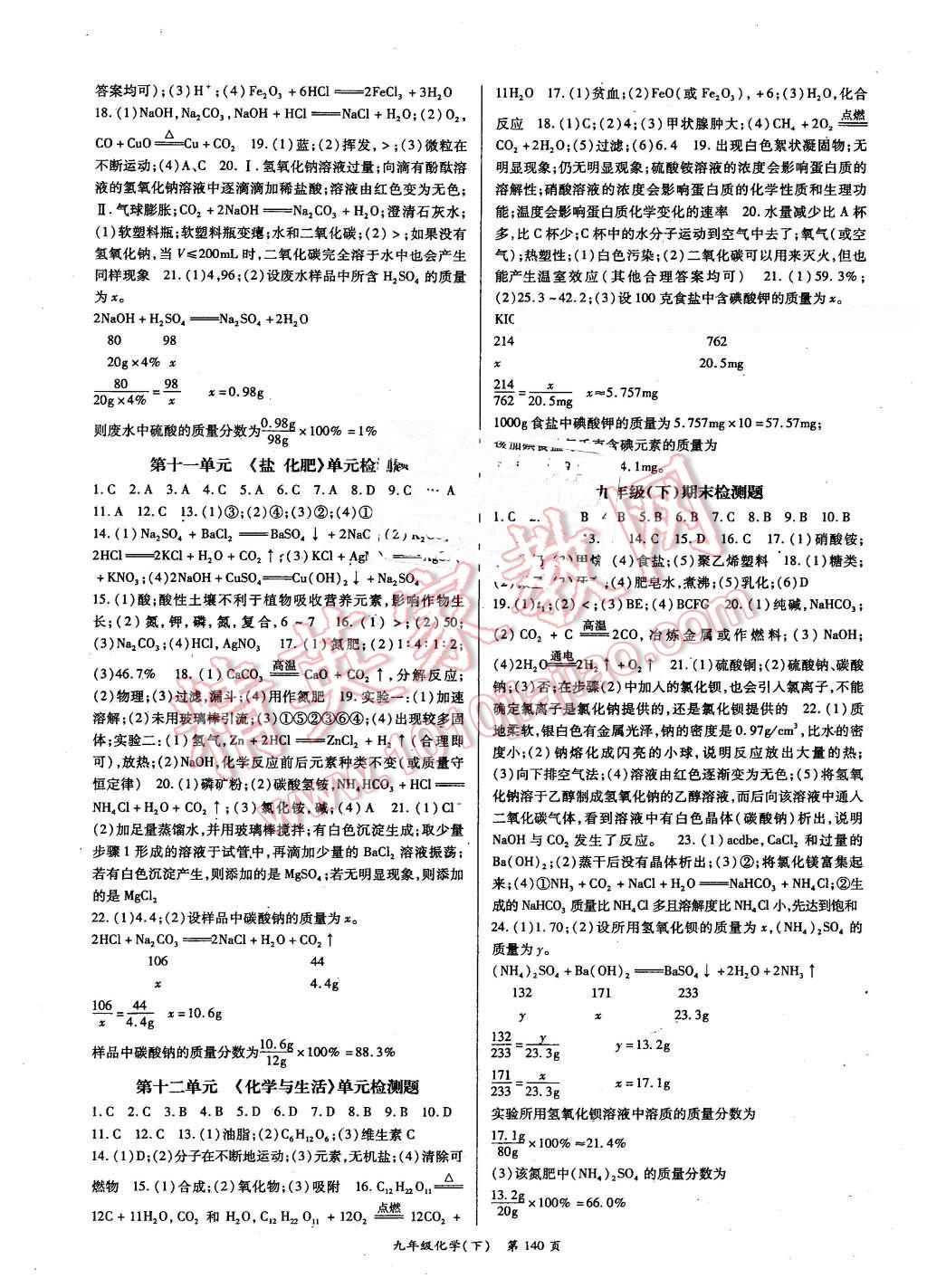 2016年启航新课堂名校名师同步学案九年级化学下册人教版 第8页