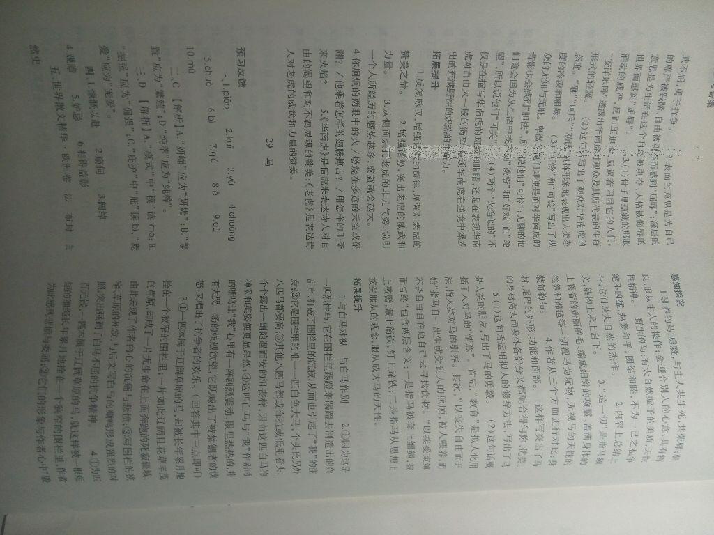 2015年基礎(chǔ)訓(xùn)練七年級(jí)語(yǔ)文下冊(cè)人教版僅限河南省使用大象出版社 第171頁(yè)