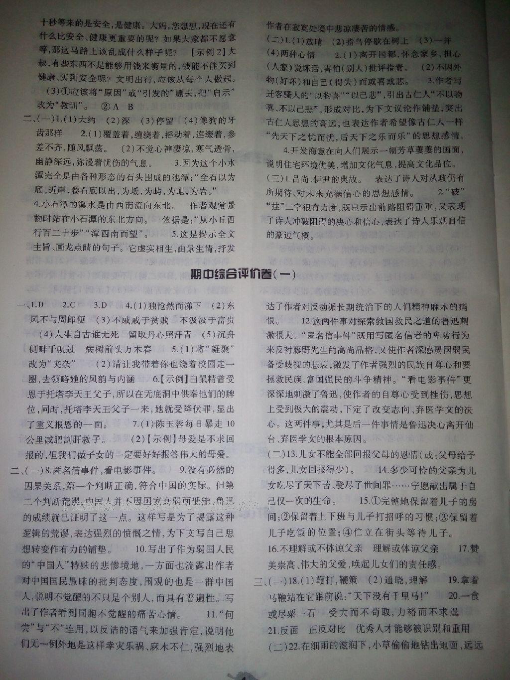 2014年基礎(chǔ)訓(xùn)練八年級(jí)語(yǔ)文下冊(cè)人教版 第253頁(yè)