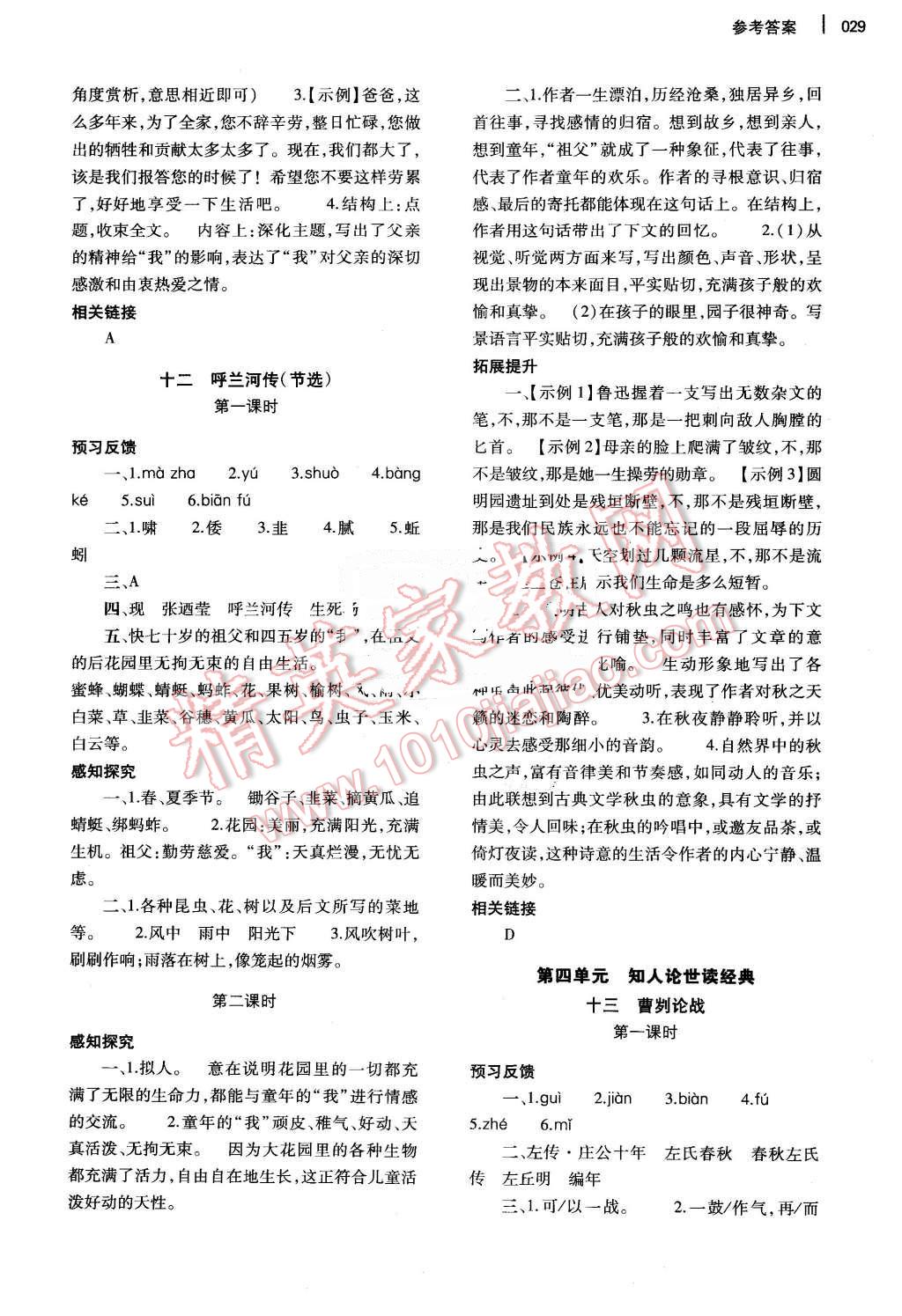 2015年基礎(chǔ)訓(xùn)練九年級語文全一冊蘇教版河南省內(nèi)使用 第29頁