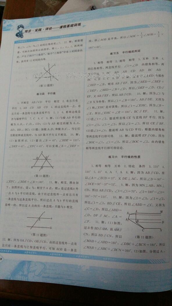 2016年課程基礎訓練七年級數(shù)學下冊人教版 第66頁