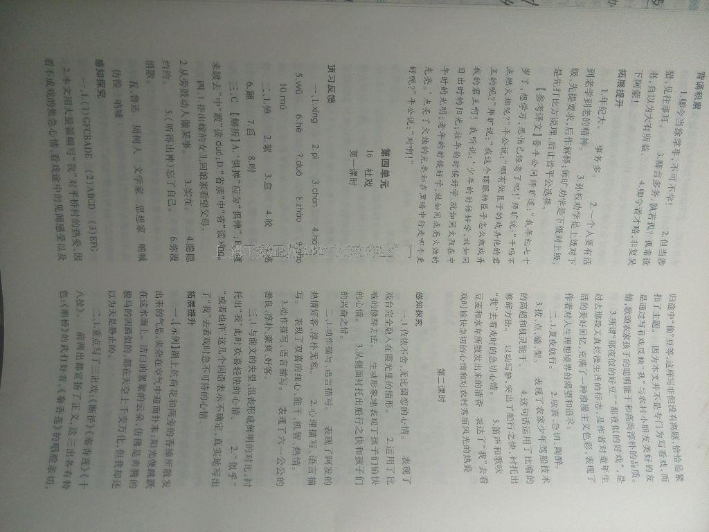 2015年基礎(chǔ)訓(xùn)練七年級語文下冊人教版僅限河南省使用大象出版社 第161頁