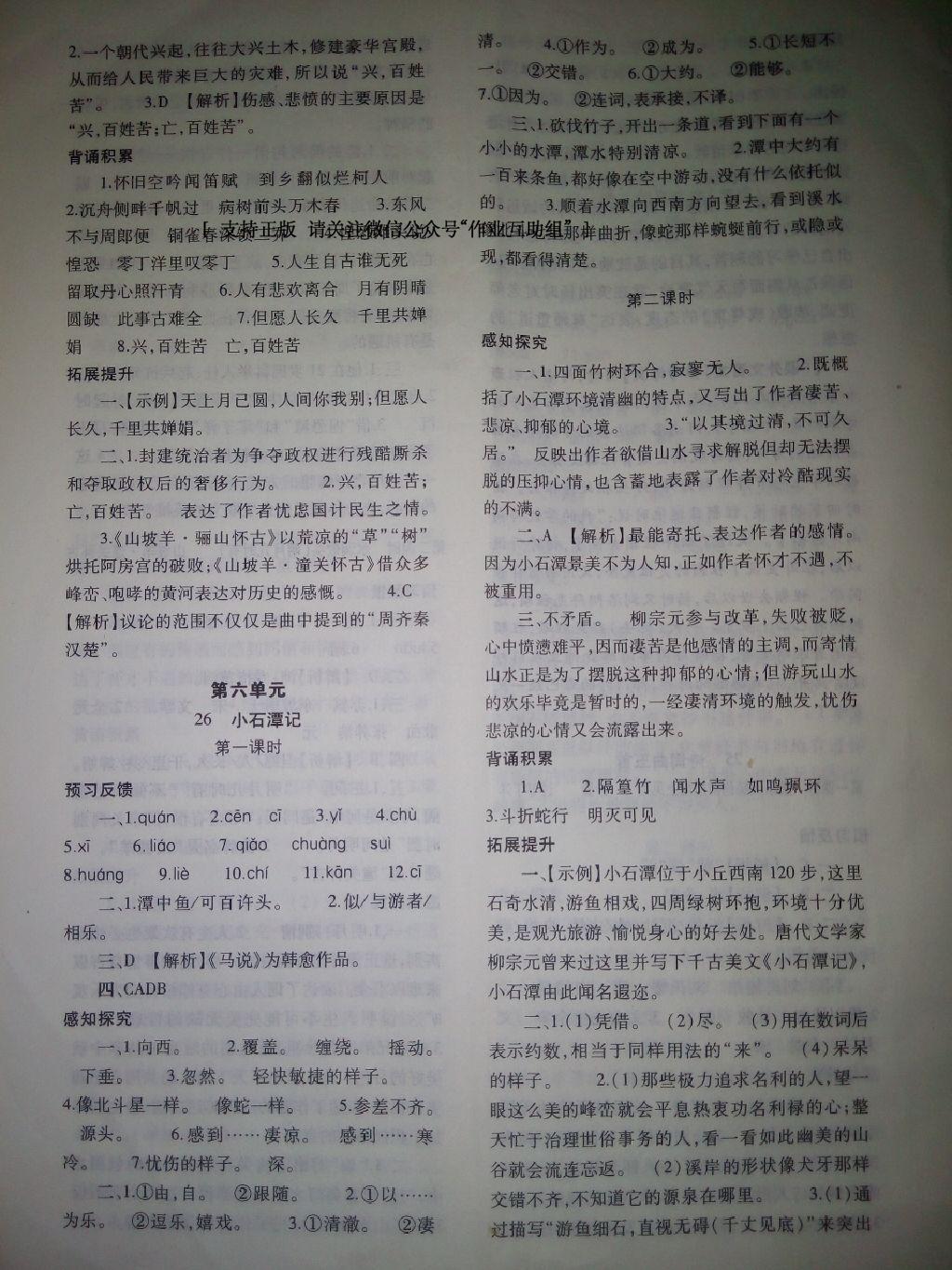 2014年基礎(chǔ)訓(xùn)練八年級(jí)語文下冊(cè)人教版 第244頁