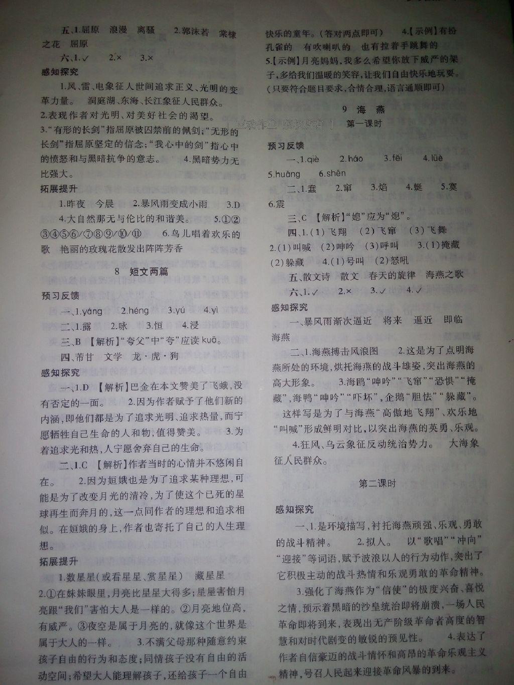 2014年基礎(chǔ)訓(xùn)練八年級(jí)語(yǔ)文下冊(cè)人教版 第233頁(yè)