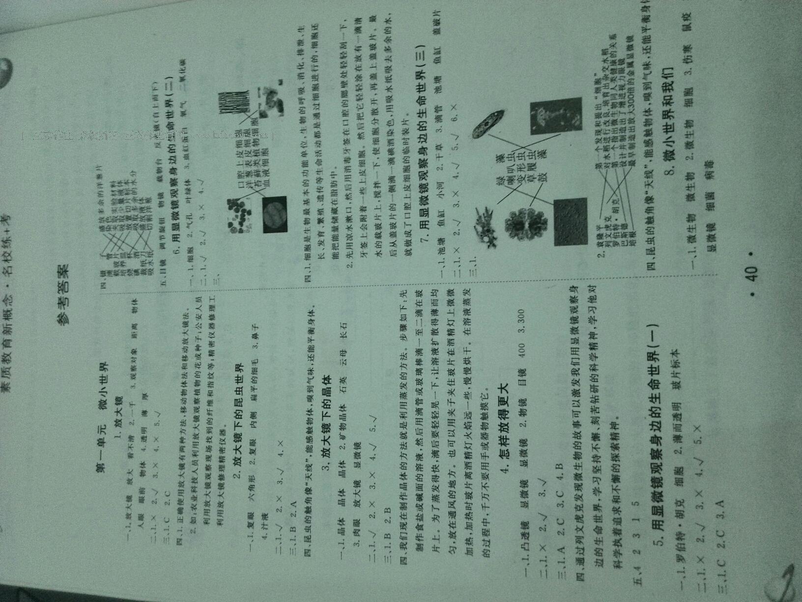 2015年名校练加考六年级科学下册教科版 第7页