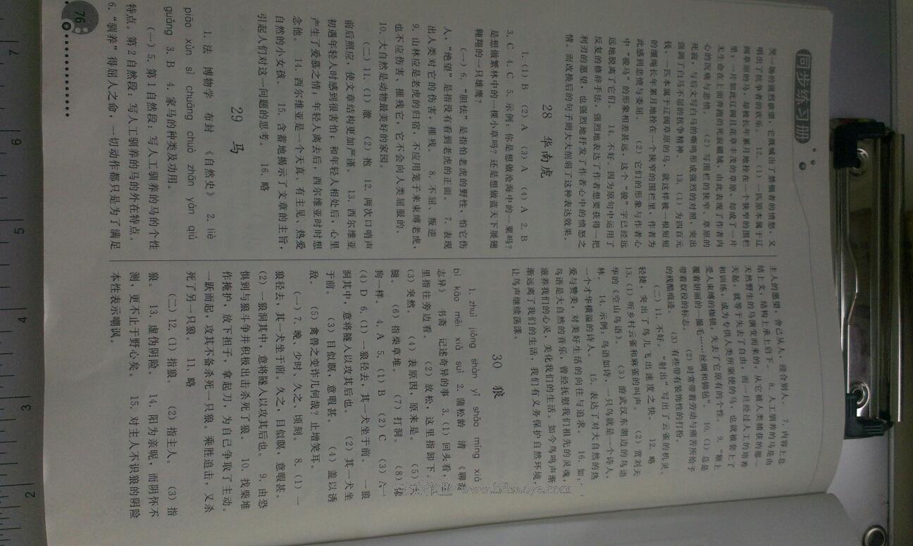 2016年同步練習(xí)冊人民教育出版社七年級語文下冊人教版 第126頁