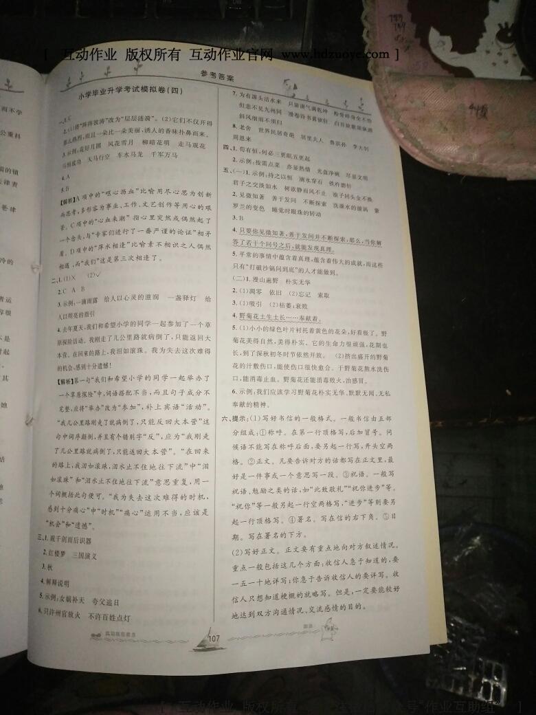 小學(xué)畢業(yè)升學(xué)系統(tǒng)總復(fù)習(xí)語文 第64頁