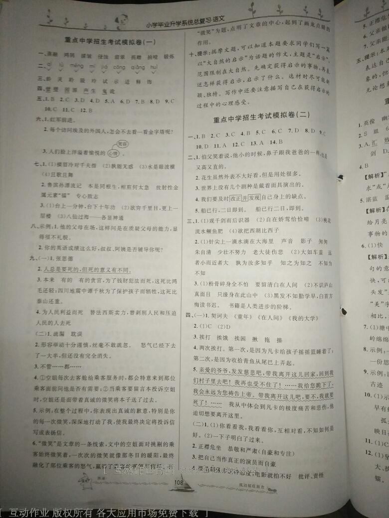 小學(xué)畢業(yè)升學(xué)系統(tǒng)總復(fù)習(xí)語文 第65頁