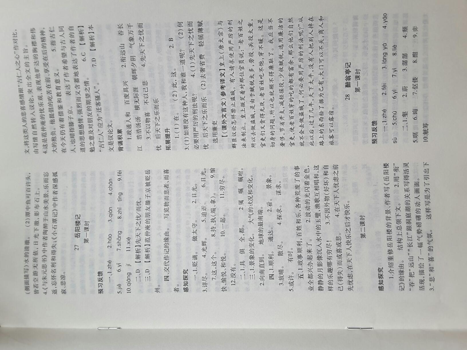 2014年基礎(chǔ)訓(xùn)練八年級(jí)語文下冊人教版 第273頁