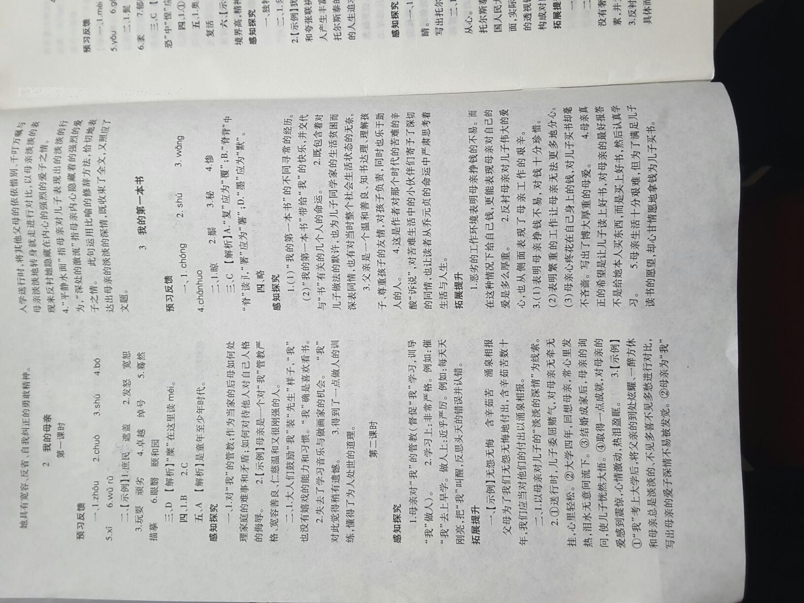 2014年基礎(chǔ)訓(xùn)練八年級(jí)語文下冊(cè)人教版 第258頁